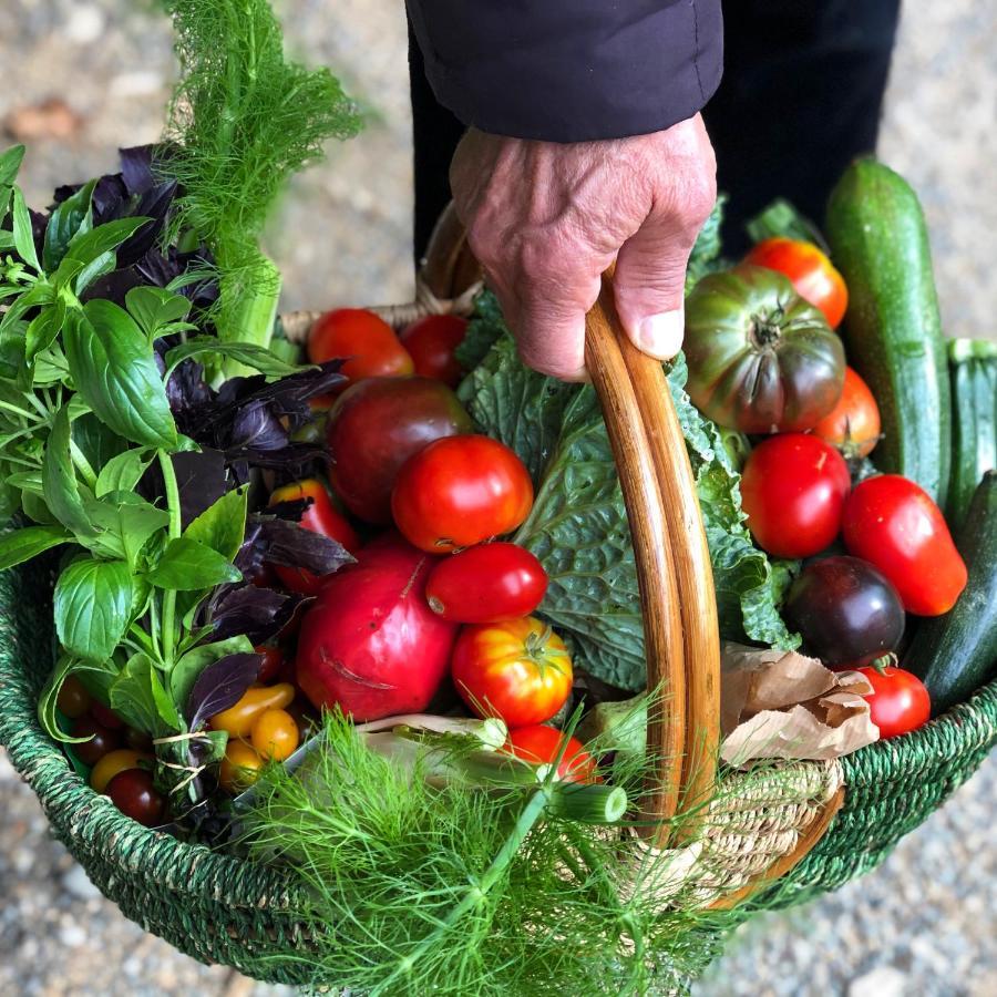 Gite A La Ferme De Verdurette Корде-сюр-Сел Екстериор снимка